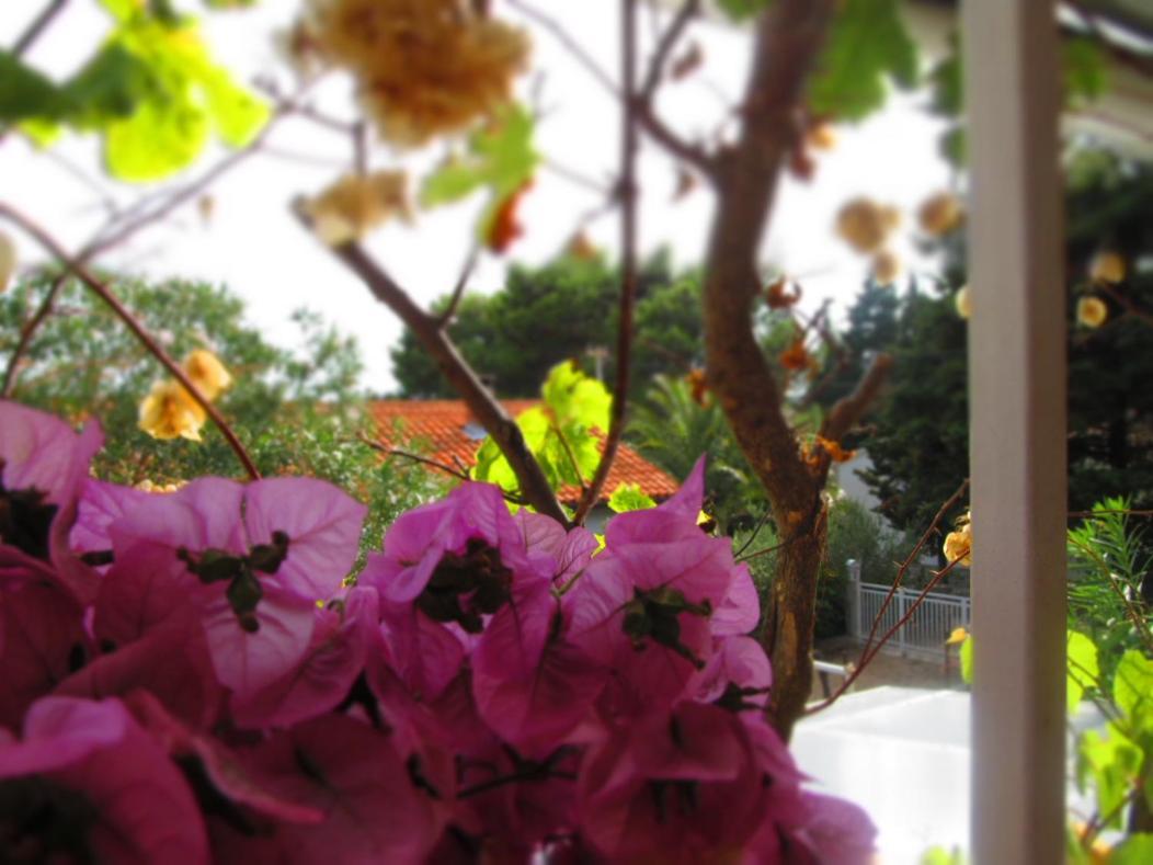 Charming Apartments With Garden Бол Экстерьер фото